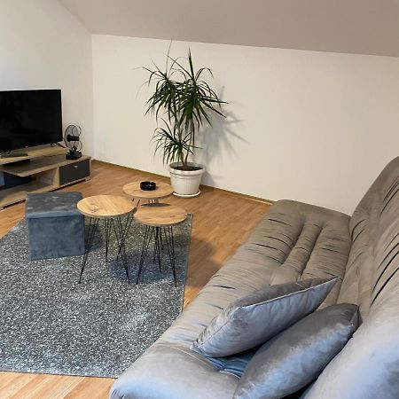 Despot Apartmani Mladenovac Exterior foto