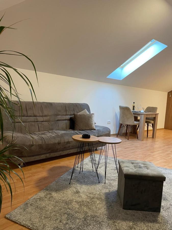 Despot Apartmani Mladenovac Exterior foto